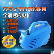 家庭用高压水流清洗机汽车高压洗车机多功能