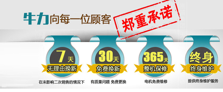 家用清洗机洗车泵便携自吸全铜电机