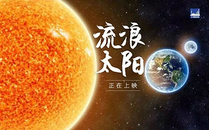 "流浪太阳"热映期间 你需要的木地板攻略