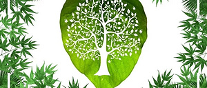CCE20届专题丨植树节公益活动报名开始啦！