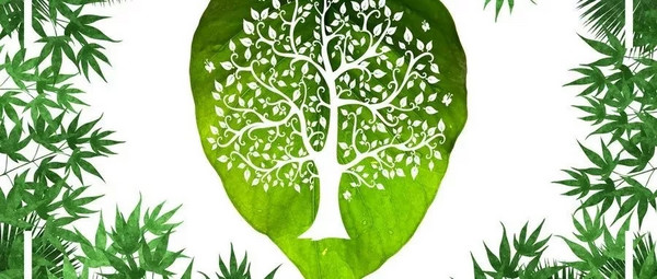 CCE20届专题丨植树节公益活动报名开始啦！
