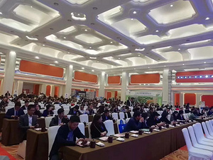 協(xié)會(huì)動(dòng)態(tài)丨新時(shí)代 新篇章：上海市市容環(huán)境衛(wèi)生行業(yè)協(xié)會(huì)建構(gòu)委2019年度工作會(huì)議今日召開(kāi)