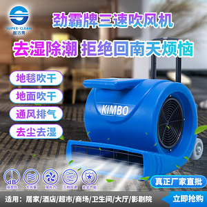 超潔亮吹風機系列