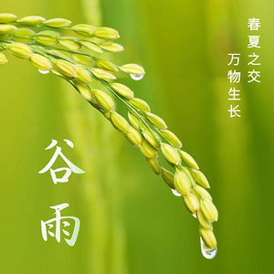 谷雨 春夏之交 万物生长